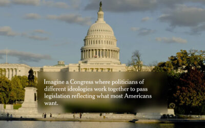 How to Fix America’s Two-Party Problem (NYT Jan ’25)